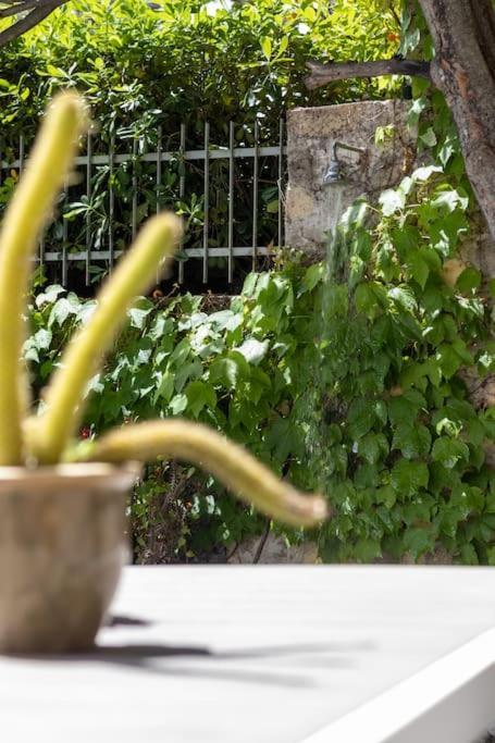 Ferienwohnung Il Giardino Tra Cielo E Mare Porto Venere Exterior foto